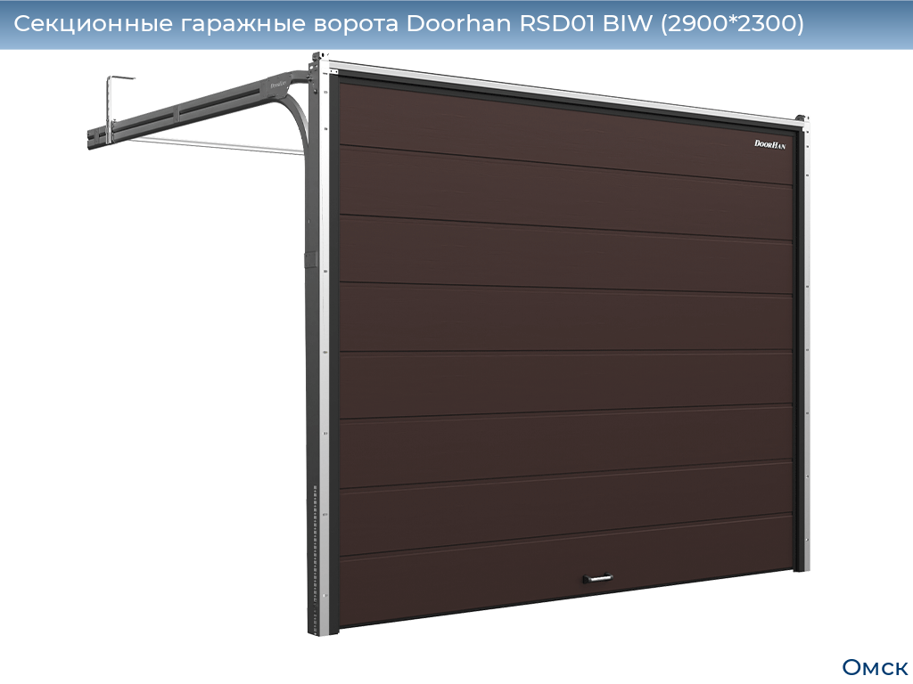 Секционные гаражные ворота Doorhan RSD01 BIW (2900*2300), omsk.doorhan.ru