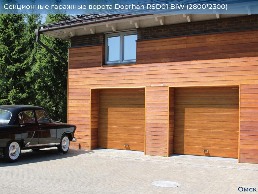 Секционные гаражные ворота Doorhan RSD01 BIW (2800*2300), omsk.doorhan.ru