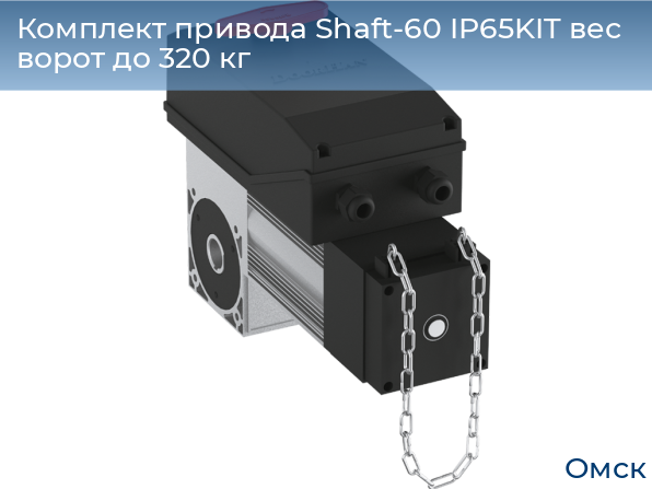Комплект привода Shaft-60 IP65KIT вес ворот до 320 кг, omsk.doorhan.ru