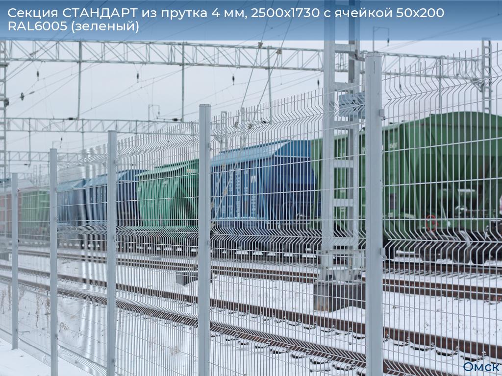 Секция СТАНДАРТ из прутка 4 мм, 2500x1730 с ячейкой 50х200 RAL6005 (зеленый) , omsk.doorhan.ru
