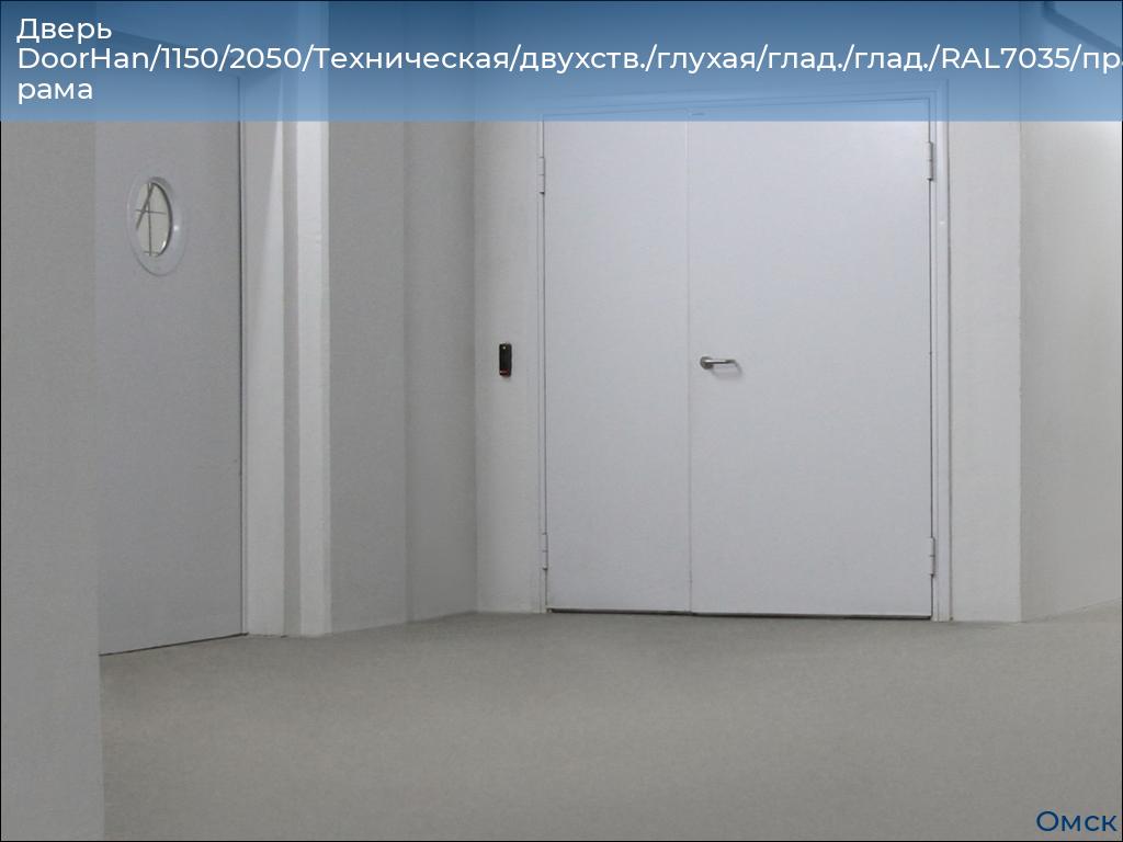 Дверь DoorHan/1150/2050/Техническая/двухств./глухая/глад./глад./RAL7035/прав./угл. рама, omsk.doorhan.ru