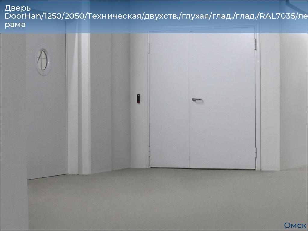 Дверь DoorHan/1250/2050/Техническая/двухств./глухая/глад./глад./RAL7035/лев./угл. рама, omsk.doorhan.ru