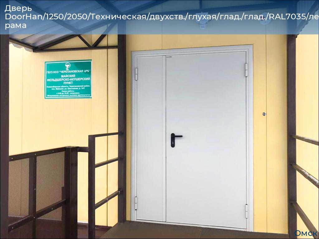 Дверь DoorHan/1250/2050/Техническая/двухств./глухая/глад./глад./RAL7035/лев./угл. рама, omsk.doorhan.ru