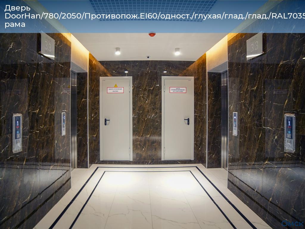 Дверь DoorHan/780/2050/Противопож.EI60/одност./глухая/глад./глад./RAL7035/лев./угл. рама, omsk.doorhan.ru