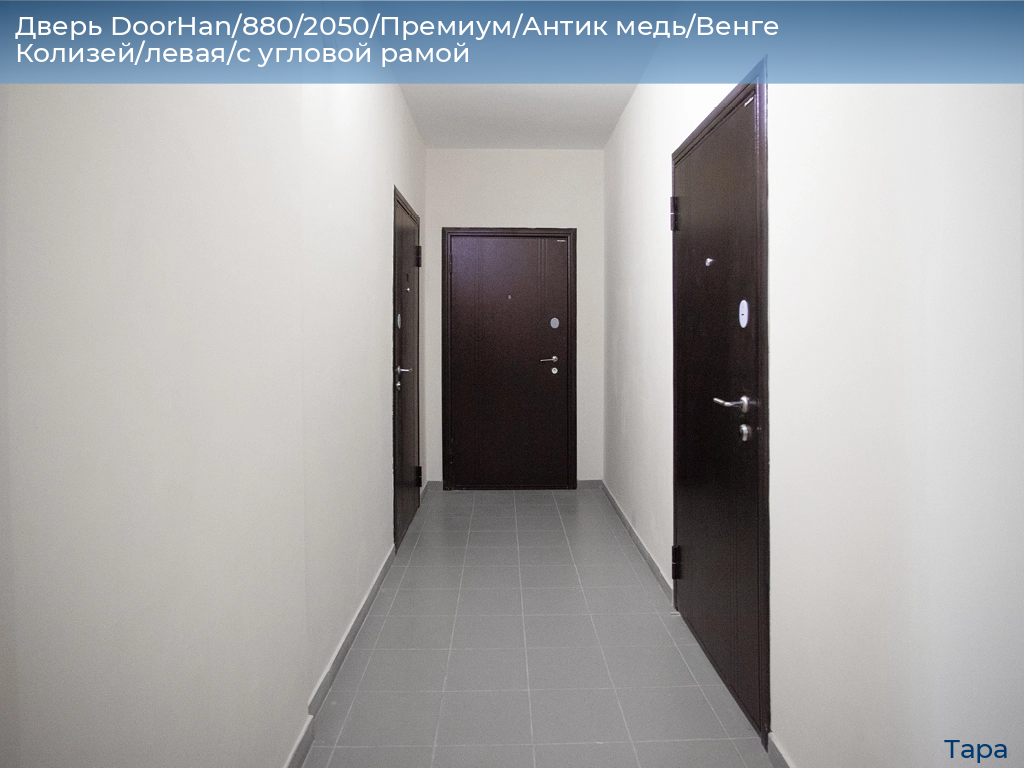 Дверь DoorHan/880/2050/Премиум/Антик медь/Венге Колизей/левая/с угловой рамой, tara.doorhan.ru