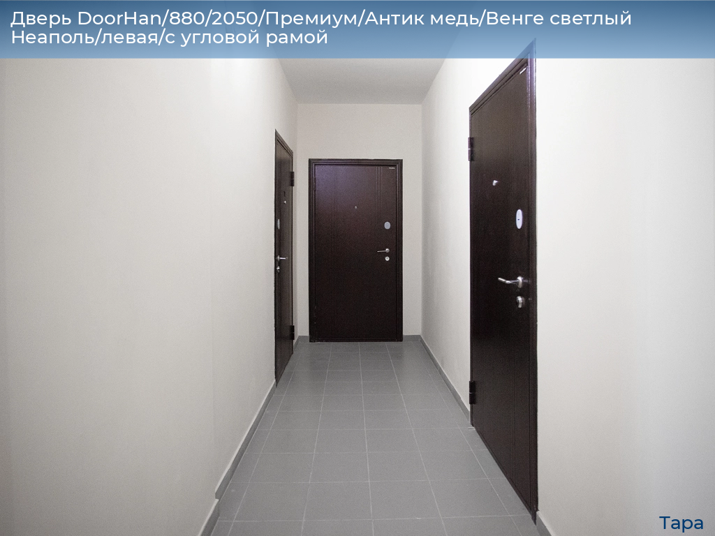 Дверь DoorHan/880/2050/Премиум/Антик медь/Венге светлый Неаполь/левая/с угловой рамой, tara.doorhan.ru