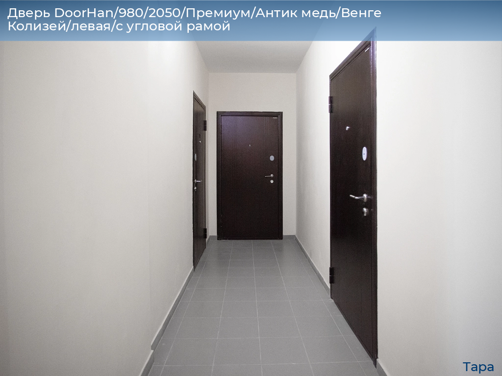 Дверь DoorHan/980/2050/Премиум/Антик медь/Венге Колизей/левая/с угловой рамой, tara.doorhan.ru