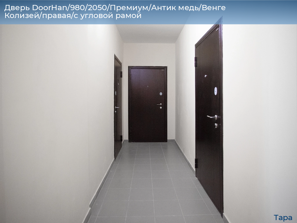 Дверь DoorHan/980/2050/Премиум/Антик медь/Венге Колизей/правая/с угловой рамой, tara.doorhan.ru